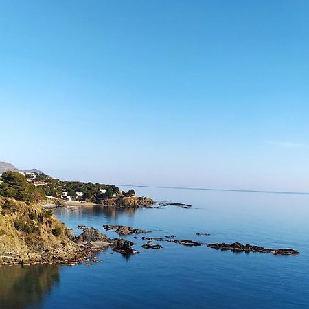Apartament Ca La Nuri Pis 4 Vistas Al Mar Llança Zewnętrze zdjęcie